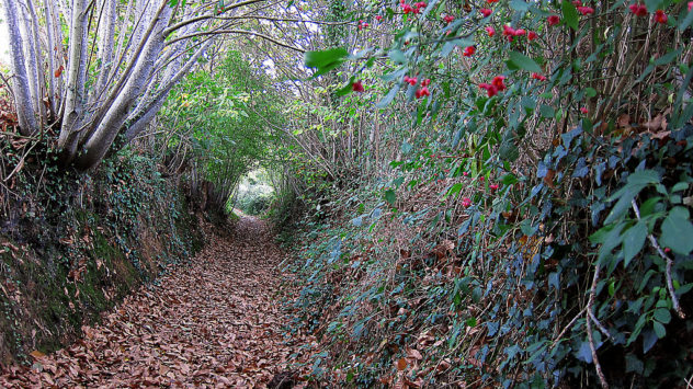 Le Manoir de Pleac 1024px-Erbrée_-_20111026_(1)